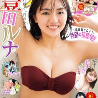[豊田ルナ] 两颗大奶球弹出 身材犯规 (10P)