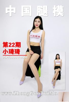 [ZGTM]中國腿模 2017-10-05 No.022 小琦琦[26P]