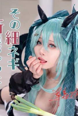 初音ミク：その細ネギ、折れちゃった？