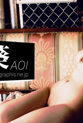 (Graphis) 葵〈A〉 (116P)