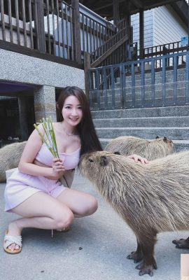 天生麗質[Marienn_Yang」網直呼仙女下凡(25P)