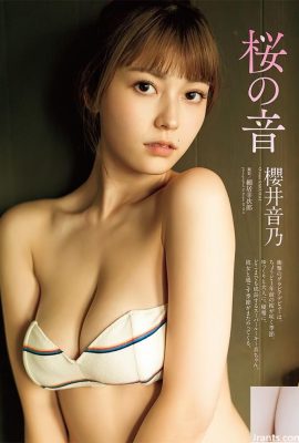 新年快樂~請看櫻井妹子的曼妙身材 (68P)