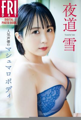 夜間米奇基：流行的配音演員棉花糖身體（140p）