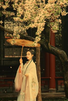 如酥拂雪ins (31P)