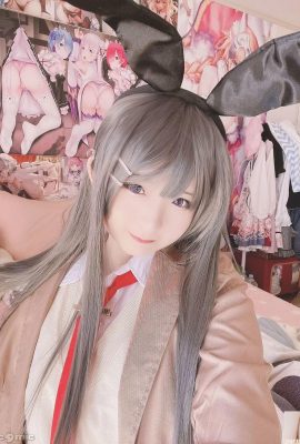 （愚蠢）Mai Sakurajima Mai（27p）
