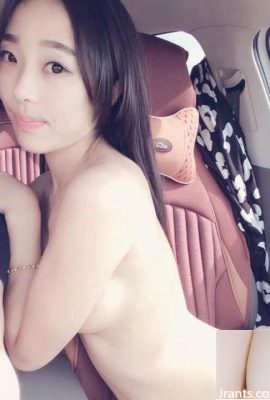喜歡玩車震的女孩 (12P)
