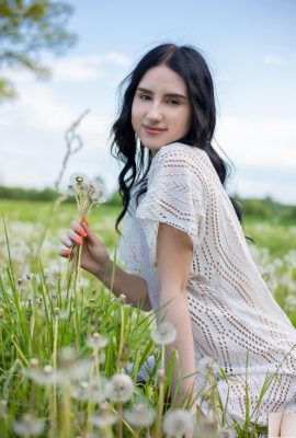 Sasha Jane  – 蒲公英（105p）