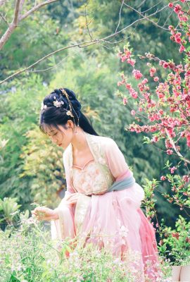 (國模套圖) 年年《海棠仙》 (84P)