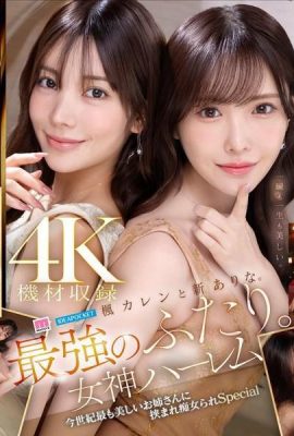 Kaede Karen和Shin Arina。最強的兩個。女神后宮是本世紀最美麗的女士