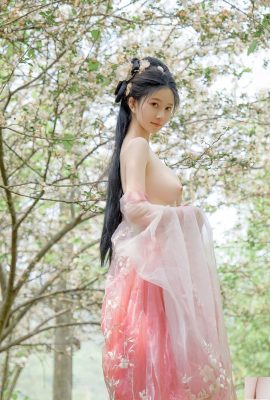 年年 – 海棠仙 (51P)