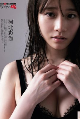 (河北彩伽) 火辣女神 眼神撫媚又性感 (10P)