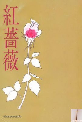 Porn star in Ura-Books 紅薔薇 (59P)