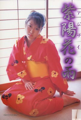 烏拉邦書中的色情明星繡球圖（52p）