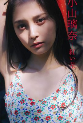 (小山璃奈) 苗條曲線S型弧度好辣 (23P)