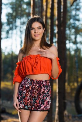 塞爾達傳說 B – 與我隔離 (105P)