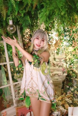 [網路收集] 慕慕Momo – 原神 納西妲 [53P]