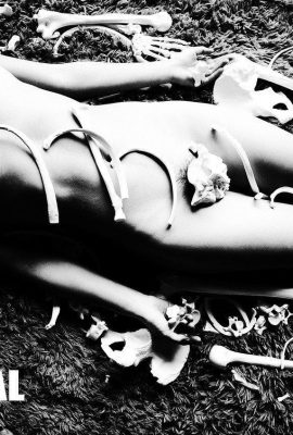 [王動作品] WANIMAL Tumblr寫真(123)  (32P)