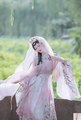 荷花仙就是景年(22P)