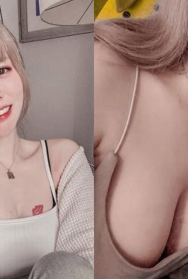 爆笑！高雄黑絲襪OL遭「兩雞夾擊」 網友笑翻：雞不可失！ (11P)