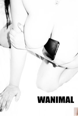 (王動作品) 王動) WANIMAL Tumblr寫真第收集(105)  (50P)