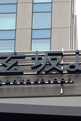 Saki，23歲，地下偶像，認真軟，第一次拍攝。 200GANA-3019 非常柔軟，第一槍。 2031地下偶像…(17P)